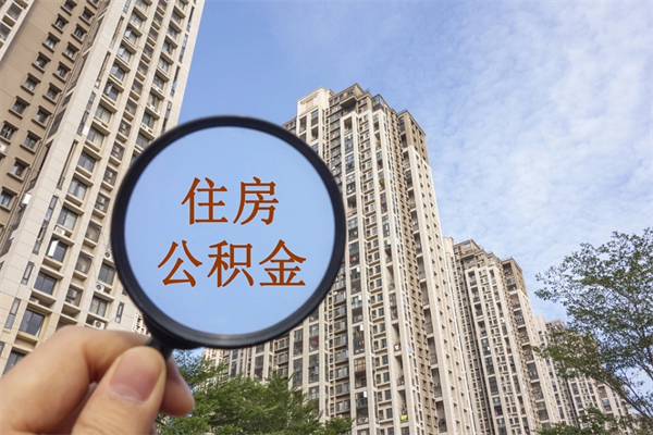 双鸭山离职可以取出公积金吗（离职可以取公积金嘛）
